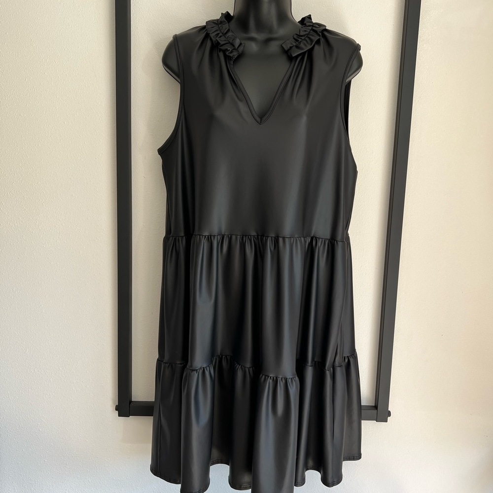 NWT Pleather Skater Dress